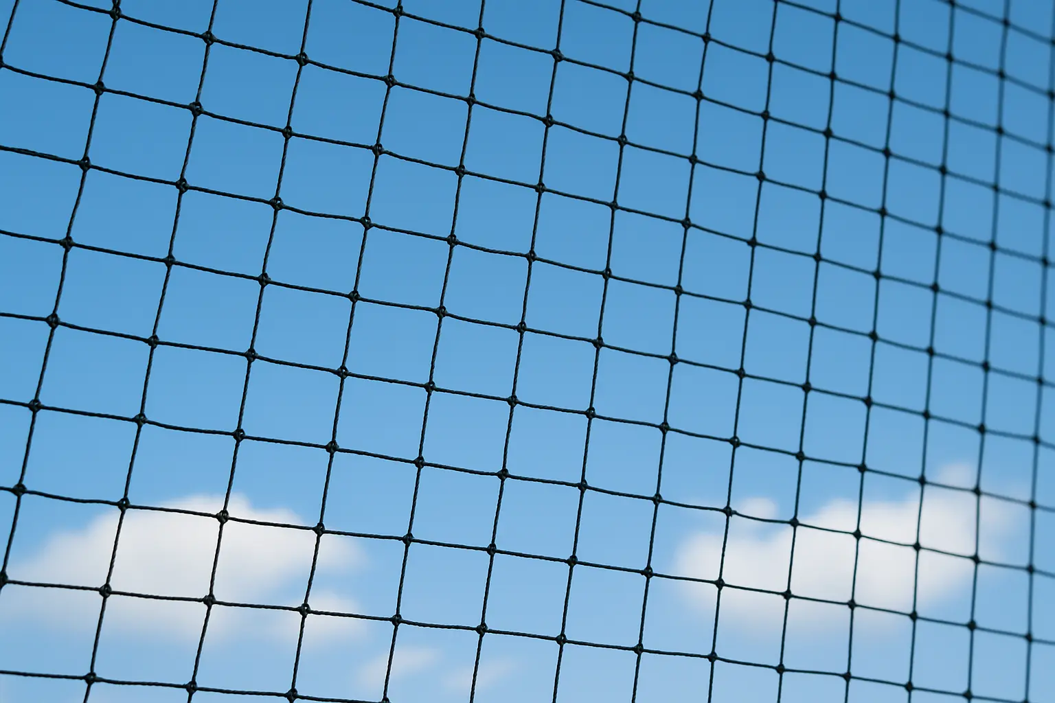 Bird netting grid