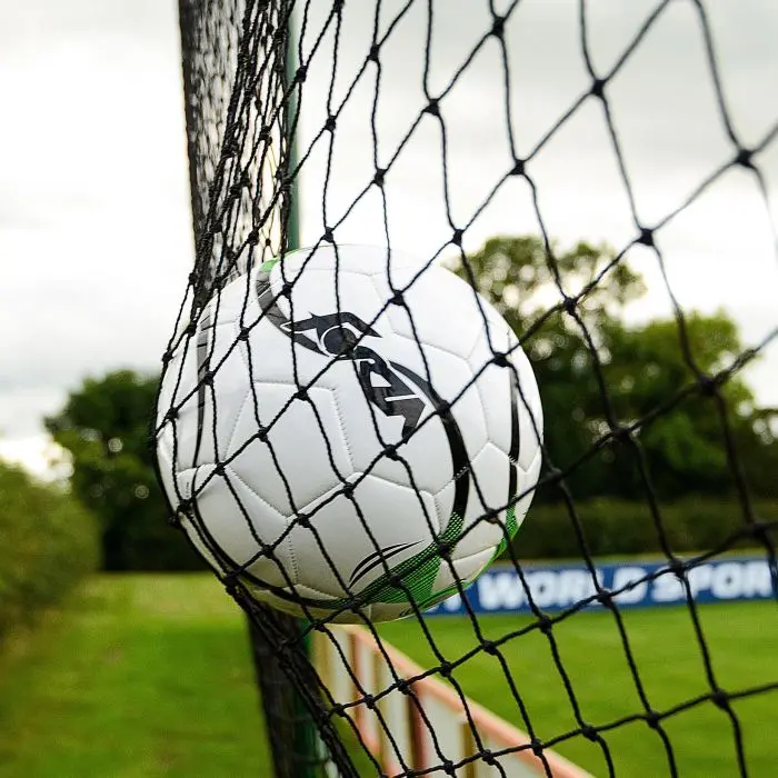 Indoor sports facility with suspended netting